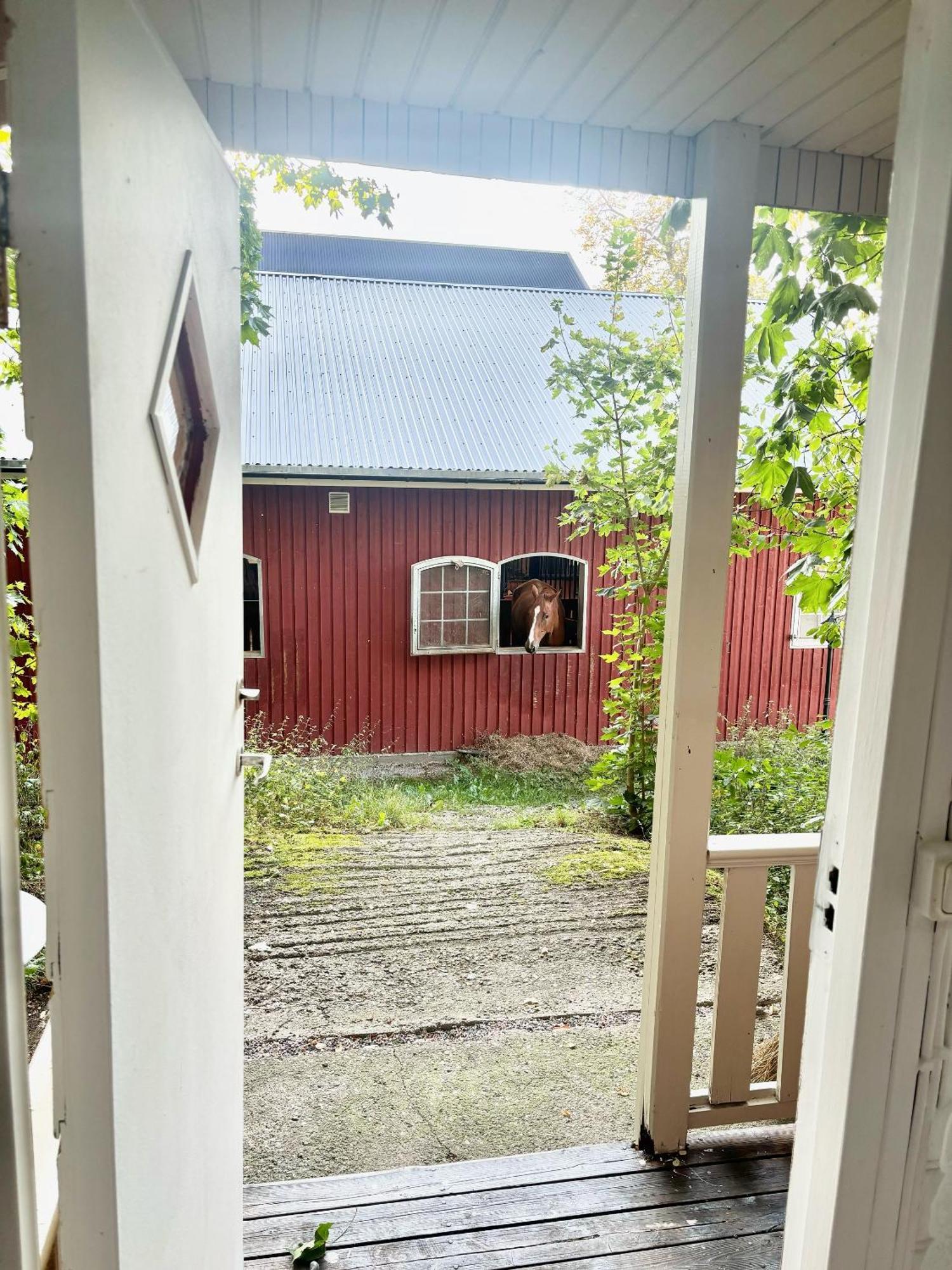 Arphus Lodge يسكيلستونا المظهر الخارجي الصورة